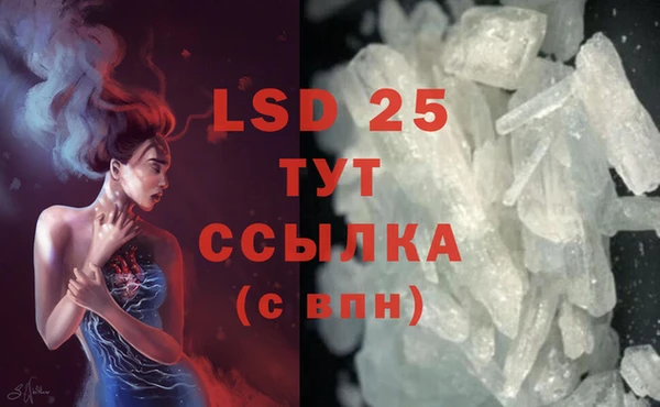 марки lsd Новозыбков