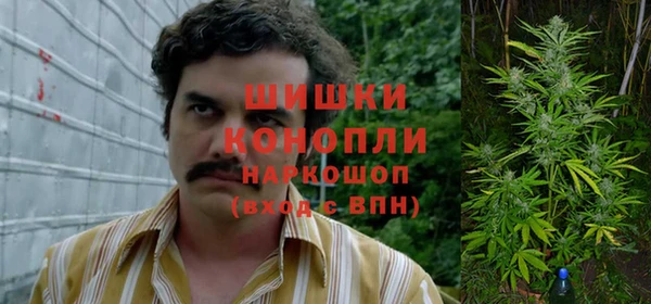 марки lsd Новозыбков