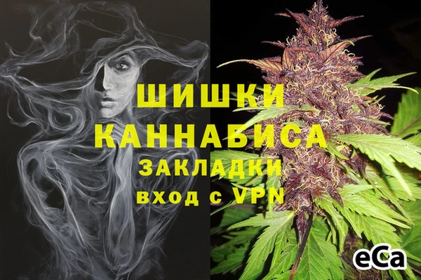 марки lsd Новозыбков