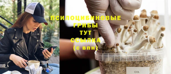 марки lsd Новозыбков