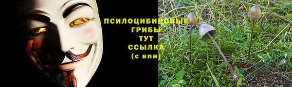 марки lsd Новозыбков