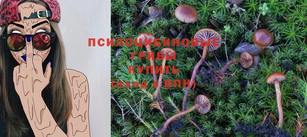 марки lsd Новозыбков