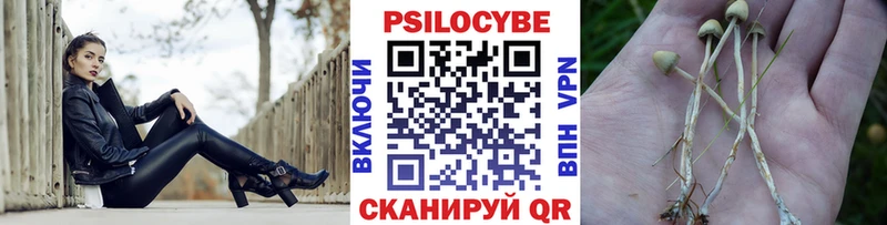 Галлюциногенные грибы MAGIC MUSHROOMS  Купить закладки  Тайга 
