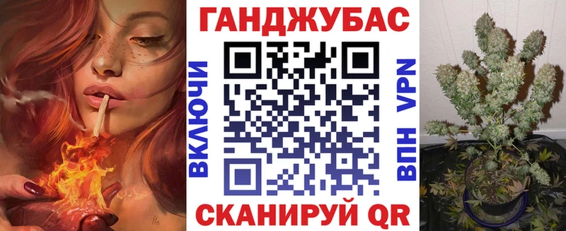 Купить закладки  Тайга  Канабис индика 